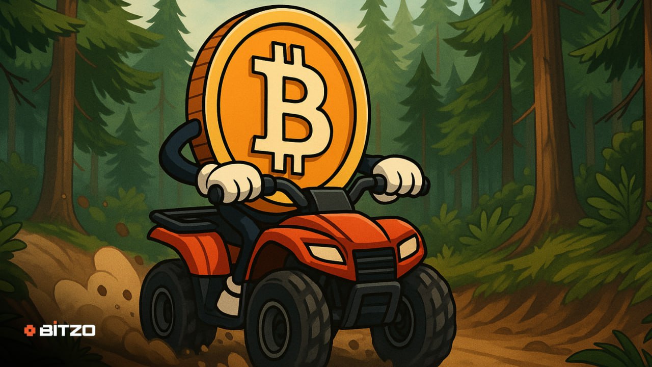 Bitcoin Price Analysis: BTC Trades Around $113,500, Struggles To Build Momentum